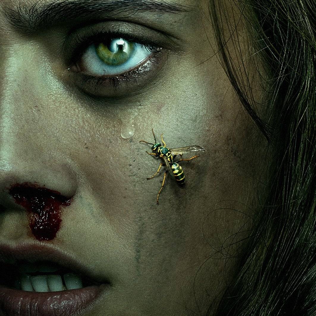 Yellowstone Season 3 Returns: Streaming and Episode Guide