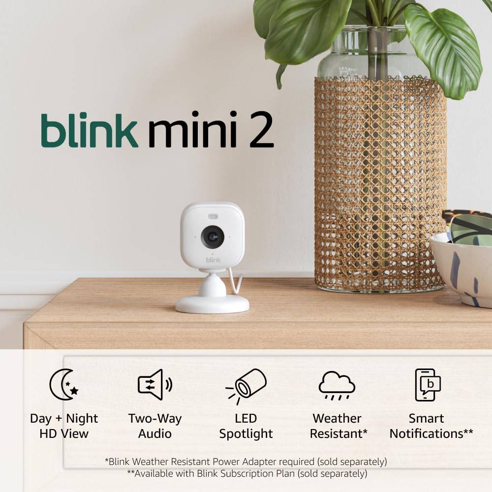 Blink Mini 2 (modelo mais recente)