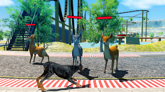 Doberman Dog Simulator Скриншот 1