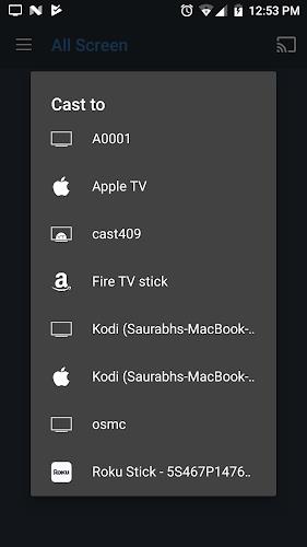 All Screen Cast to TV Roku Скриншот 2