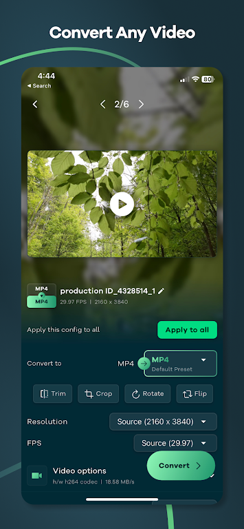 Video Converter - Remux应用截图第0张