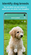 Dog Scanner: Breed Recognition 스크린샷 0