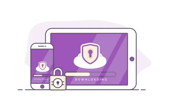 PrivateVPN Budget Option