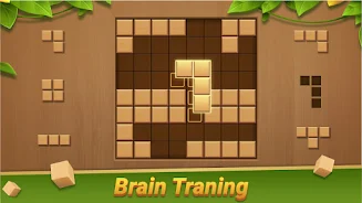 Block Puzzle - Wood Blast 스크린샷 0