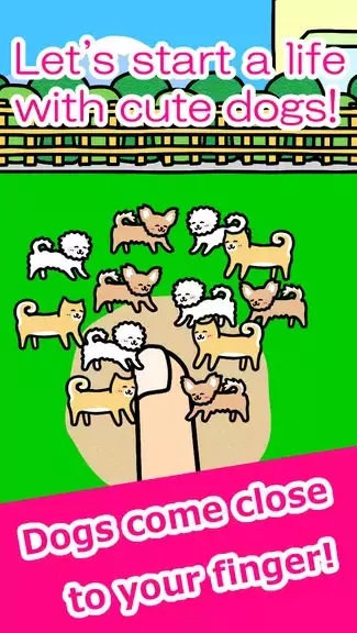 Play with Dogs - relaxing game Schermafbeelding 0