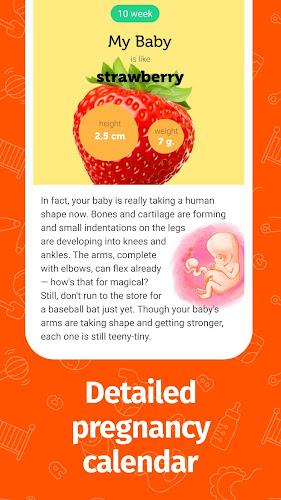 Pregnancy App and Baby Tracker應用截圖第2張