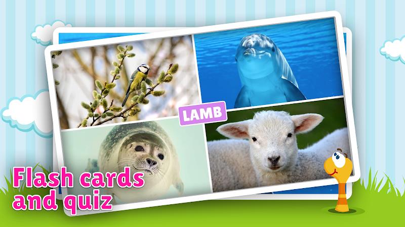 Schermata Animal flashcard & sounds 1