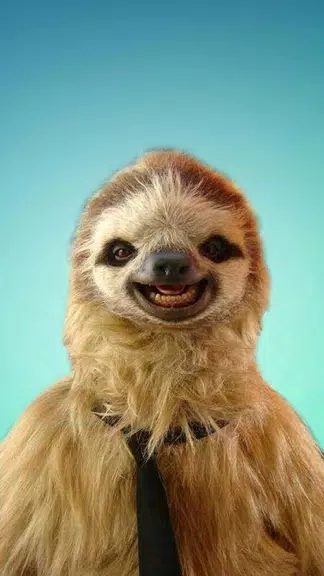 Sloth Wallpapers স্ক্রিনশট 0