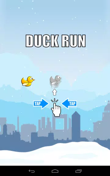 Duck Run ภาพหน้าจอ 2