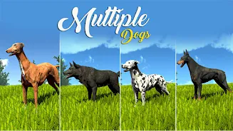 Wild Dog Pet Simulator Games Screenshot 0