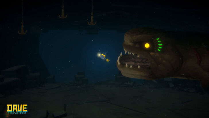 Development Priorities Shared During AMA