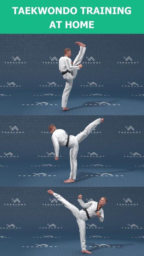 Mastering Taekwondo at Home 스크린샷 1