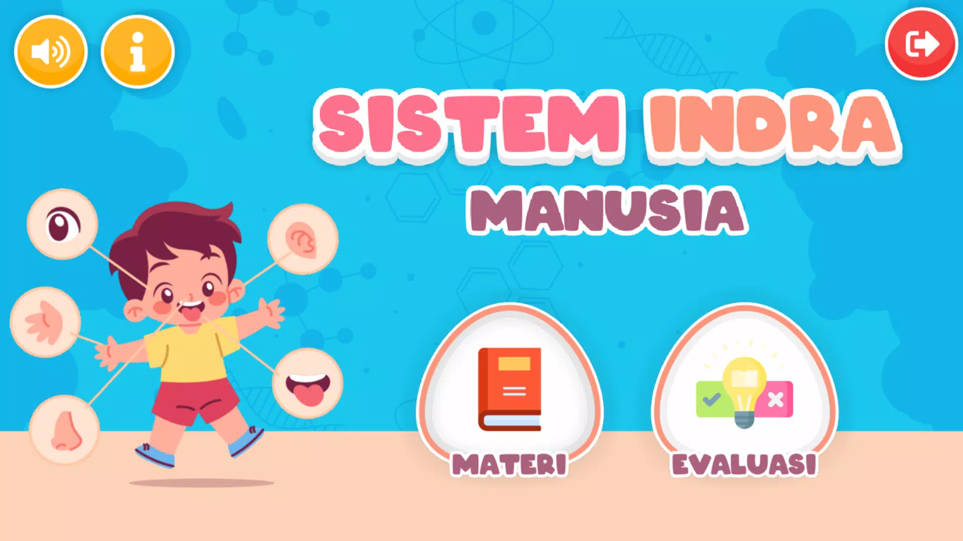 Sistem Indra Manusia Schermafbeelding 0