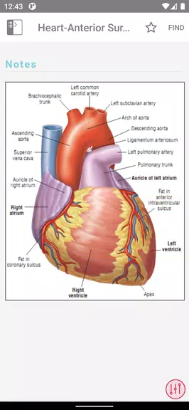 ECG Notes: Quick look-up ref. Screenshot 2