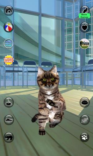 Talking Reality Cat ภาพหน้าจอ 1