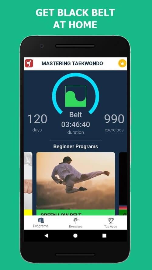 Mastering Taekwondo at Home 스크린샷 2