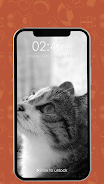 Kitty Cat Pin Lock Screen ဖန်သားပြင်ဓာတ်ပုံ 3