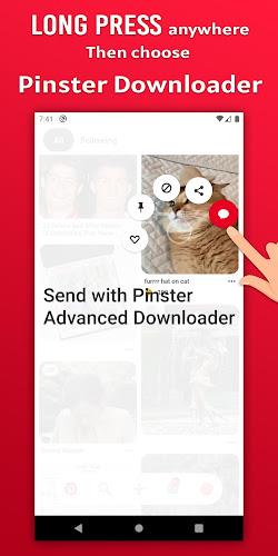 Video Downloader for Pinterest Screenshot 0