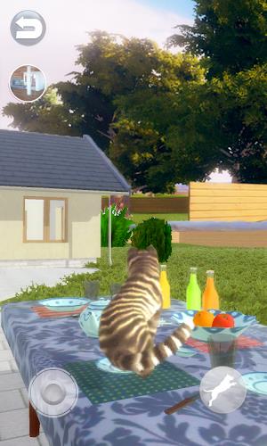 Talking Cat Funny スクリーンショット 1