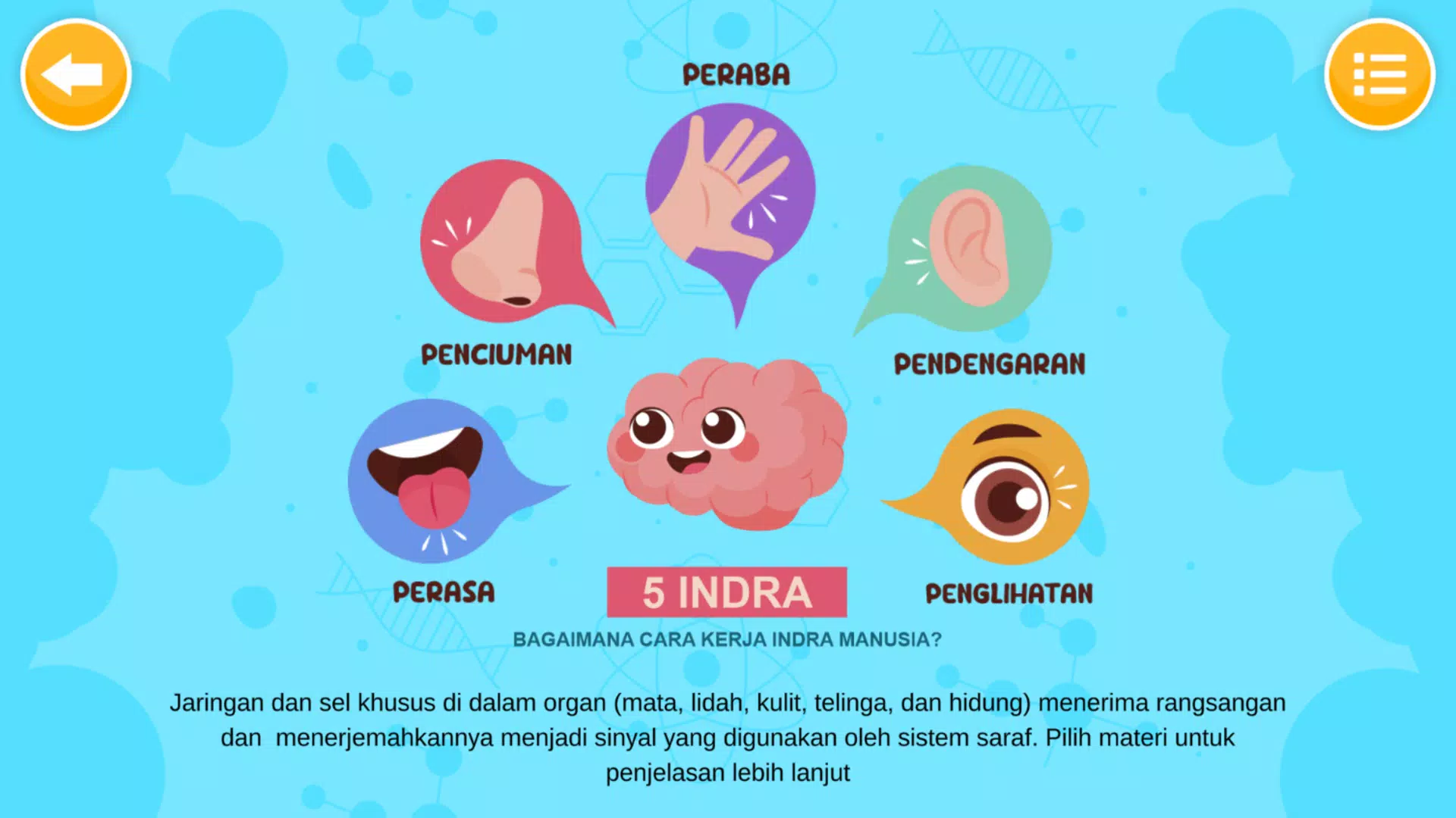 Sistem Indra Manusia Tangkapan skrin 1