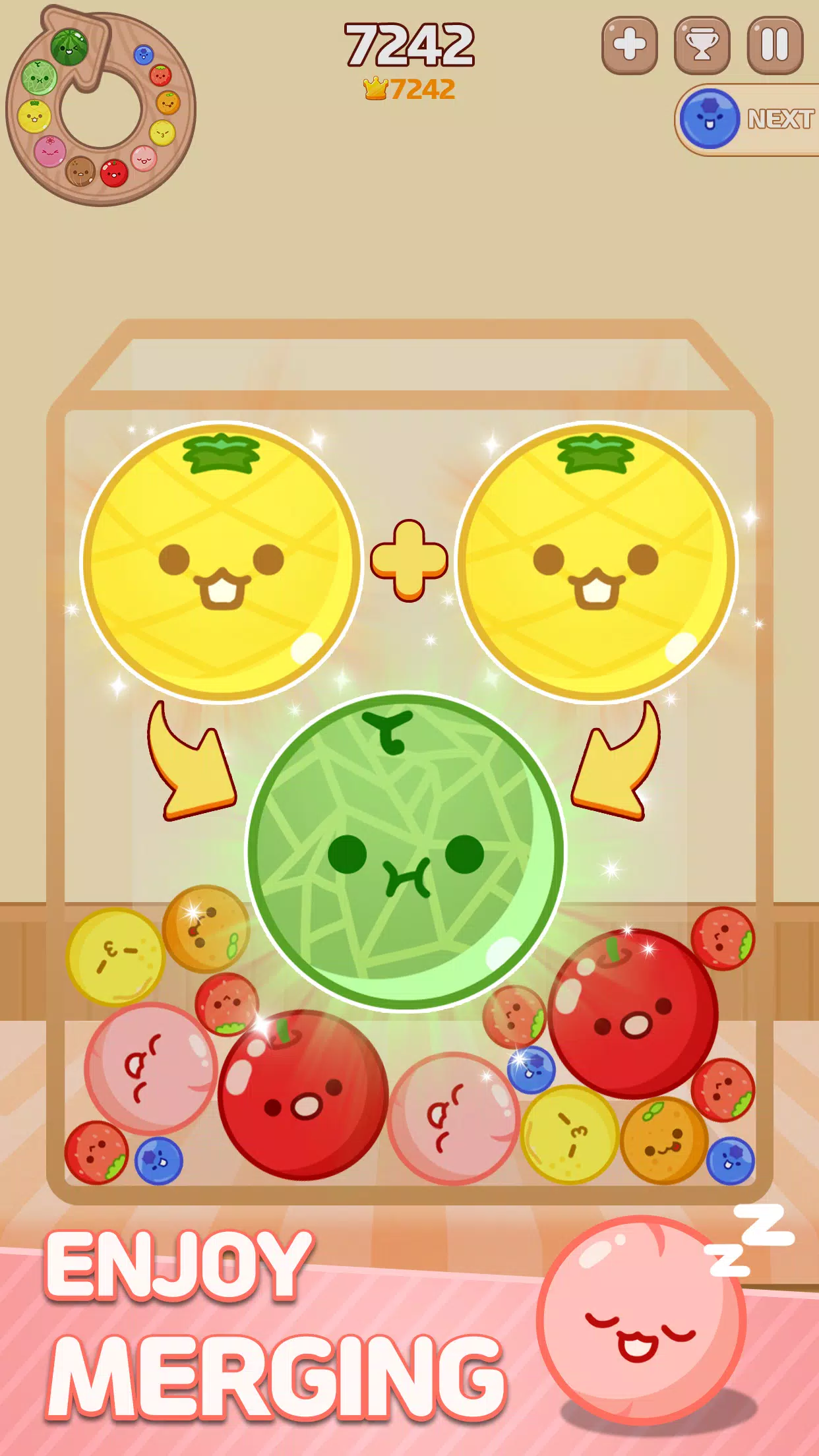 Melon Maker Screenshot 2