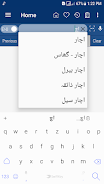 English Urdu Dictionary Screenshot 3