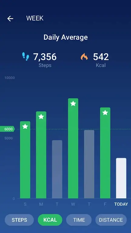 Pedometer Screenshot 2