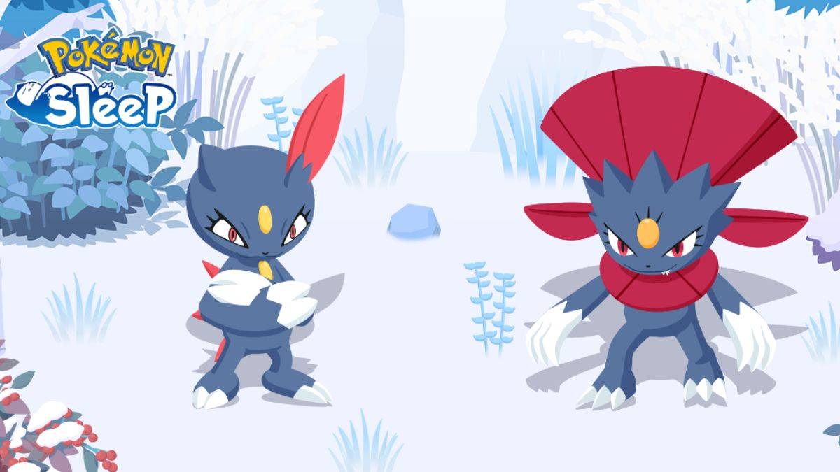 Pokémon Sleep：Sneasel 和 Weavile 揭曉