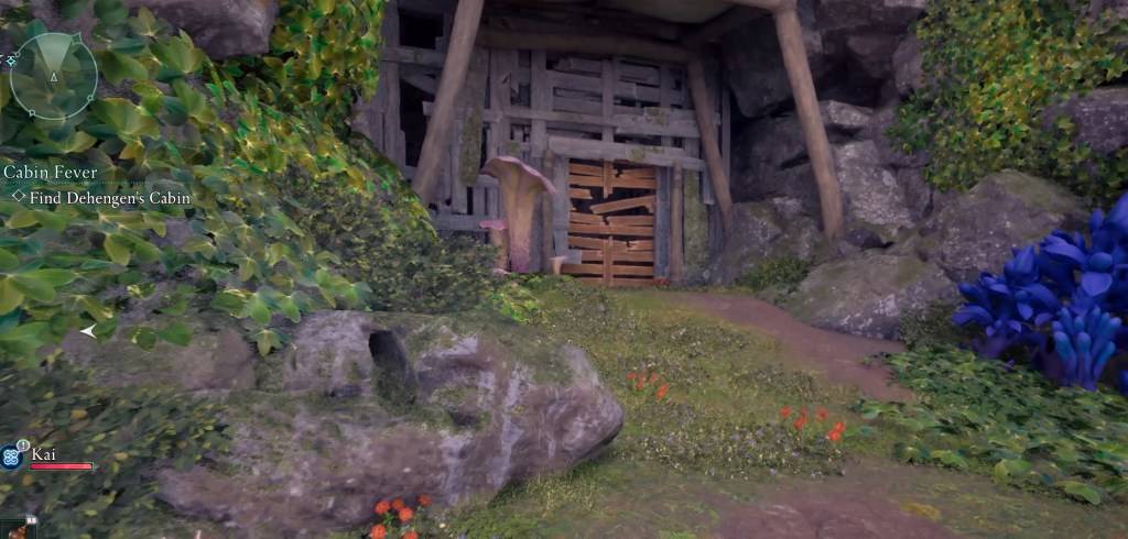 A boarded-up area in Avowed where the treasure chest is located.