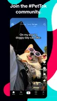 TikTok USA Screenshot 3