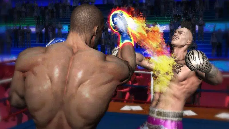 Punch Boxing 3D应用截图第3张