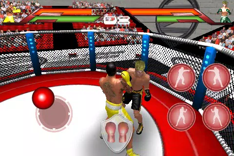 Virtual Boxing Screenshot 0
