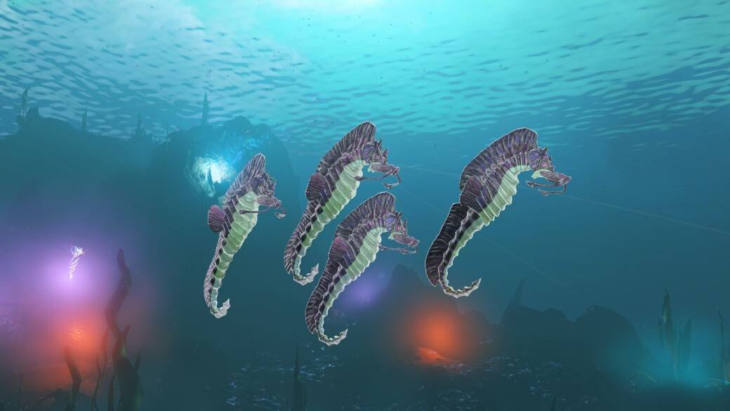 New seahorse creatures