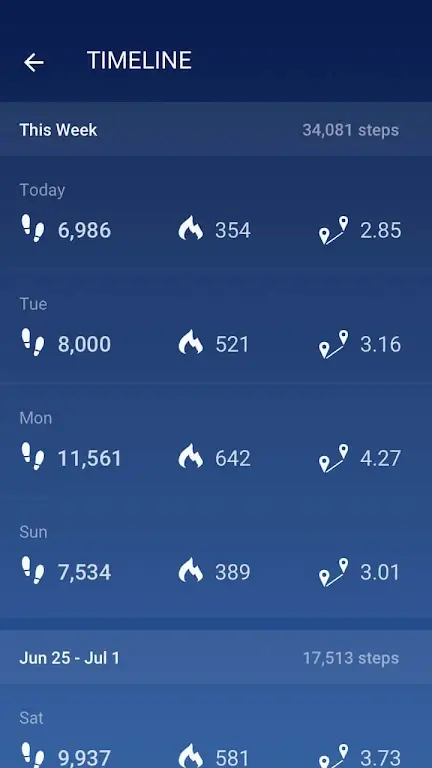 Pedometer Screenshot 1