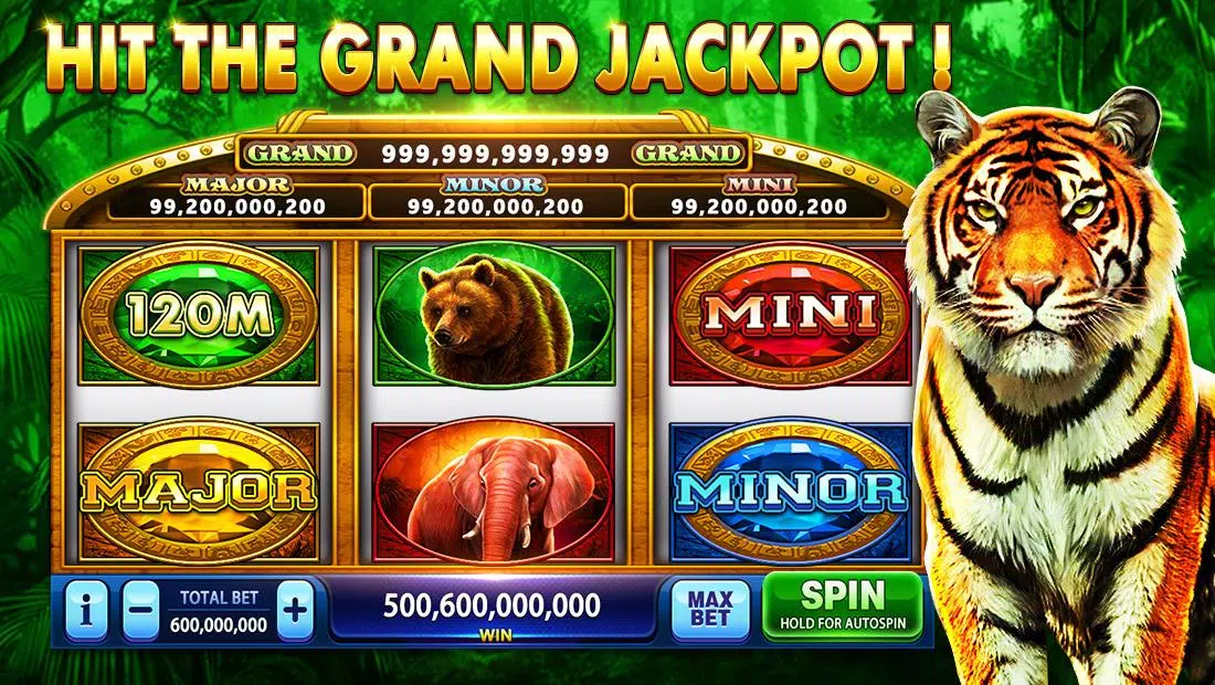 Pirate Fortune Slots Casino Скриншот 3