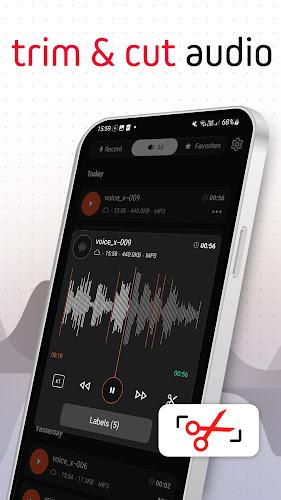 Voice Recorder Pro - VoiceX Скриншот 1