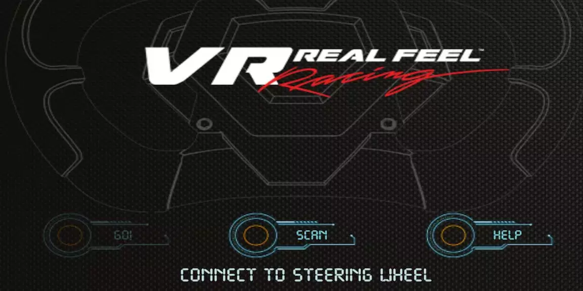 VR Real Feel Racing Captura de pantalla 0