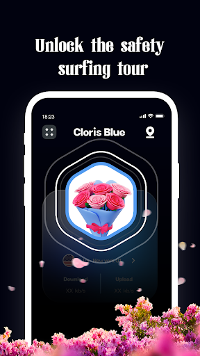 Cloris Blue VPN Captura de pantalla 0