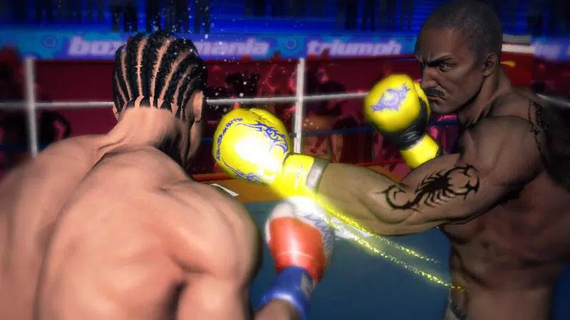 Punch Boxing 3D应用截图第1张