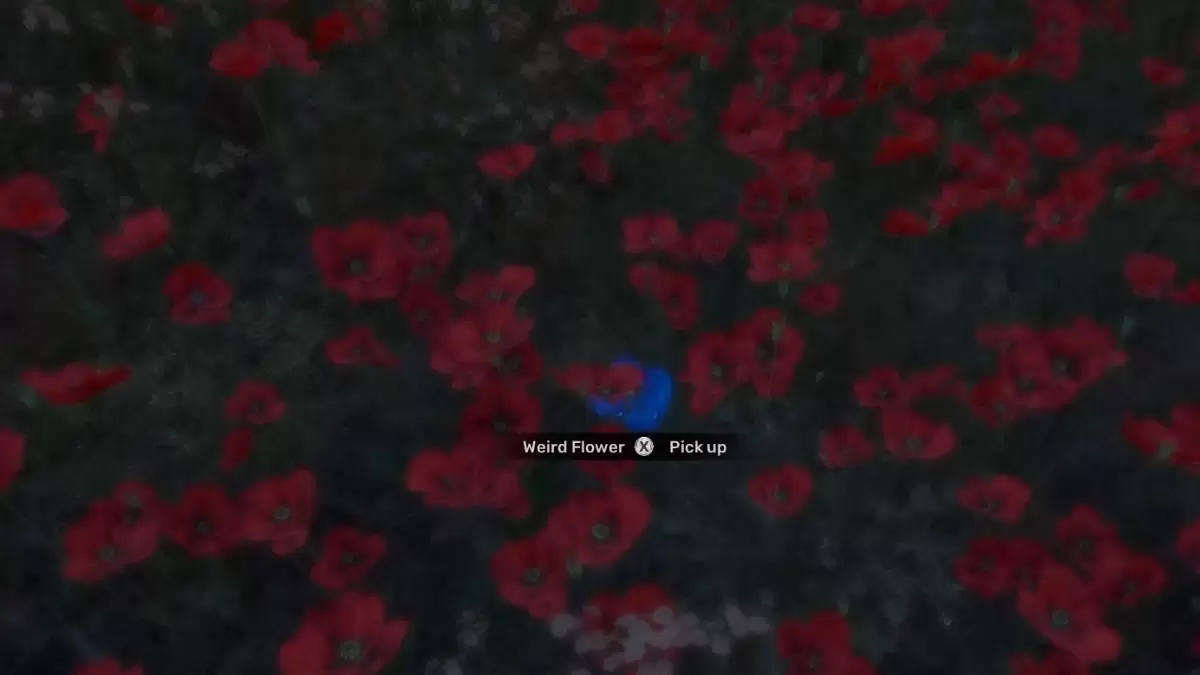 Que fait la fleur étrange dans Stalker 2 ?